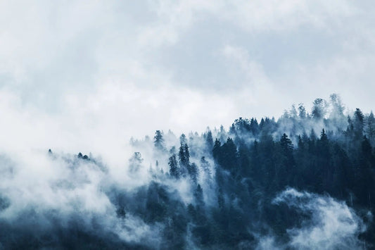Wintertraining wielrennen: tips